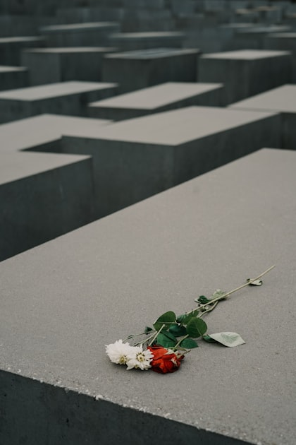 Mental Health and Grief Counseling